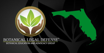 kratom stays legal florida 2015